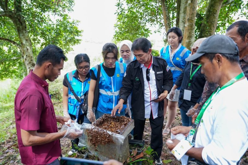 PT PLN Energi Primer Indonesia (PLN EPI) Bersama anak usahanya PT PLN Energi Gas mendorong pengembangan ekonomi hijau berbasis masyarakat melalui program Tanggung Jawab Sosial dan Lingkungan (TJSL) berupa pengembangan dan pendampingan budidaya madu kelulut (stingless bee) di Desa Tanjung Batu, Kecamatan Tenggarong Seberang, Kabupaten Kutai Kartanegara, Kalimantan Timur.