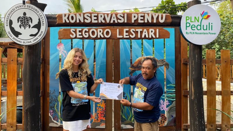 Pengunjung yang berpartisipasi menjadi relawan dalam kegiatan konservasi di Konservasi Penyu Segoro Lestari Blitar mendapatkan piagam penghargaan yang diserahkan Sardi selaku Ketua Kelompok Konservasi Penyu Segoro Lestari.