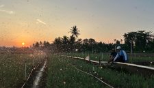 Melalui listrik PLN, produktivitas dan efisiensi para petani bawang di Desa Telle, Kabupaten Bone, Sulawesi Selatan semakin meningkat. Kehadiran energi listrik yang andal dan terjangkau berdampak positif bagi daya beli masyarakat dan pertumbuhan ekonomi nasional.