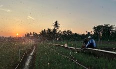 berita-pilihan-foto
