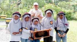 Peserta diajak mengenal peran penting lebah dalam menjaga keseimbangan ekosistem, memahami proses budidaya madu, serta mempelajari berbagai jenis lebah, di antaranya Apis Mellifera, Apis Cerana, dan Trigona beserta karakteristik dan manfaatnya bagi lingkungan. Pembelajaran dikemas secara interaktif sehingga anak-anak dapat belajar langsung dari alam melalui pengalaman yang menyenangkan.