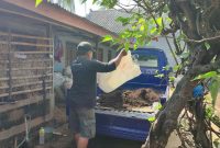 Kelompok Tani di Gunungkidul, berhasil mengubah limbah peternakan menjadi produk bernilai ekonomi melalui Program Desa Berdaya Energi yang diinisiasi PT PLN Energi Primer Indonesia (PLN EPI).