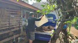Kelompok Tani di Gunungkidul, berhasil mengubah limbah peternakan menjadi produk bernilai ekonomi melalui Program Desa Berdaya Energi yang diinisiasi PT PLN Energi Primer Indonesia (PLN EPI).