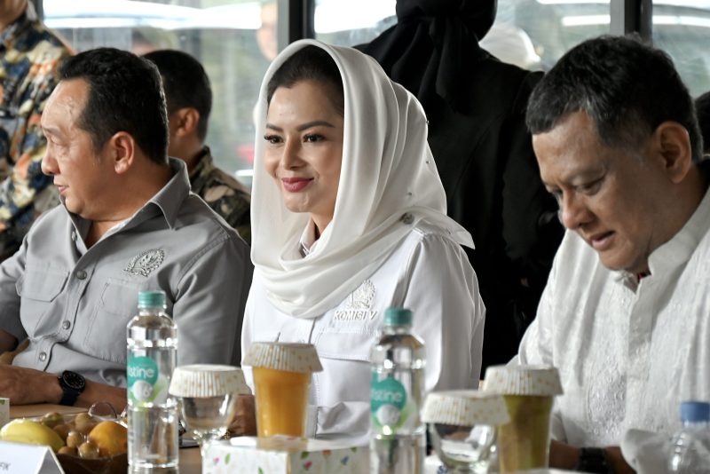 Anggota Komisi V DPR RI Novita Wijayanti / foto ist