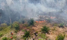 berita-pilihan-foto