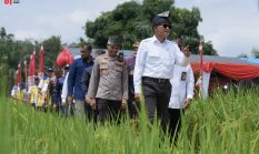 berita-pilihan-foto