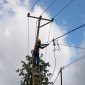 Petugas PLN tengah melakukan perbaikan jaringan tegangan rendah (JTR) yang terdampak gempa bumi di Desa Welamosa, Kecamatan Wewaria, Kabupaten Ende, Nusa Tenggara Timur demi menghadirkan kembali listrik bagi masyarakat.