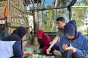Masyarakat bersama tim pendamping melakukan proses pemilahan dan pengolahan sampah organik sebagai pakan Maggot BSF. Program TJSL PLN EPI ini menjadi bagian dari implementasi ESG perusahaan dalam mendorong ekonomi sirkular, mengurangi sampah organik, dan meningkatkan kesejahteraan masyarakat.
