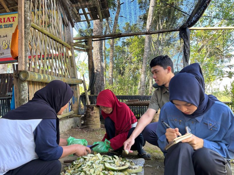 Masyarakat bersama tim pendamping melakukan proses pemilahan dan pengolahan sampah organik sebagai pakan Maggot BSF. Program TJSL PLN EPI ini menjadi bagian dari implementasi ESG perusahaan dalam mendorong ekonomi sirkular, mengurangi sampah organik, dan meningkatkan kesejahteraan masyarakat.