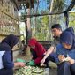 Masyarakat bersama tim pendamping melakukan proses pemilahan dan pengolahan sampah organik sebagai pakan Maggot BSF. Program TJSL PLN EPI ini menjadi bagian dari implementasi ESG perusahaan dalam mendorong ekonomi sirkular, mengurangi sampah organik, dan meningkatkan kesejahteraan masyarakat.