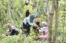 Pengembangan biomassa berkaitan erat dengan agenda pengurangan emisi karbon yaitu tanaman yang dikembangkan dapat dipanen dan dimanfaatkan sebagai bahan baku energi, kemudian dilakukan penanaman kembali.