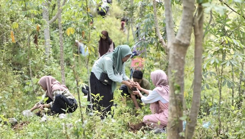 Pengembangan biomassa berkaitan erat dengan agenda pengurangan emisi karbon yaitu tanaman yang dikembangkan dapat dipanen dan dimanfaatkan sebagai bahan baku energi, kemudian dilakukan penanaman kembali.