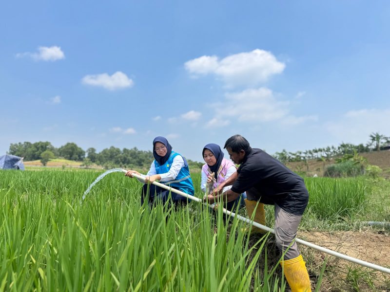 Program Electrifying Agriculture menjadi bentuk dukungan PLN kepada Kelompok Tani Berkah Sakabeh di Desa Cicau, Kabupaten Bekasi, dengan memanfaatkan energi listrik untuk sistem pengairan lahan pertanian. Penggunaan pompa berbasis listrik membantu memastikan kebutuhan air tetap terpenuhi, khususnya pada musim kemarau, sehingga kegiatan pertanian dapat berjalan lebih optimal dan efisien.