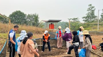 Dorong Ketahanan Pangan, Transmigran Gerbang Mas Perkasa dan TEP UI Sulap Lahan Tandus Jadi Pekarangan
