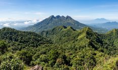 berita-pilihan-foto