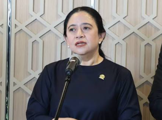 Ketua DPR RI Puan Maharani / foto ist