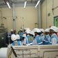 Para peserta Business Immersion P3MD berkesempatan mengunjungi green hydrogen plant PLN Nusantara Power UP Muara Karang pada Rabu (7/10). Mereka mempelajari transisi energi PLN salah satunya dengan melihat secara langsung  proses produksi hidrogen hijau, potensi pemanfaatan, serta integrasi dengan energi terbarukan.