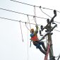 Petugas pelayanan teknik PLN saat melakukan pemeliharaan jaringan kelistrikan, bagian dari layanan operasi dan pemeliharaan (Operation & Maintenance/O&M) yang selama ini dijalankan PLN Electricity Services di wilayah Indonesia bagian barat, yakni Sumatra, Jawa, dan Bali serta PLN Nusa Daya di wilayah Indonesia Timur, mulai dari Kalimantan hingga Papua.