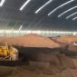 Biomassa di area stockpile PLTU Rembang, Jawa Tengah, yang dipersiapkan untuk mendukung program co-firing pada pembangkit.